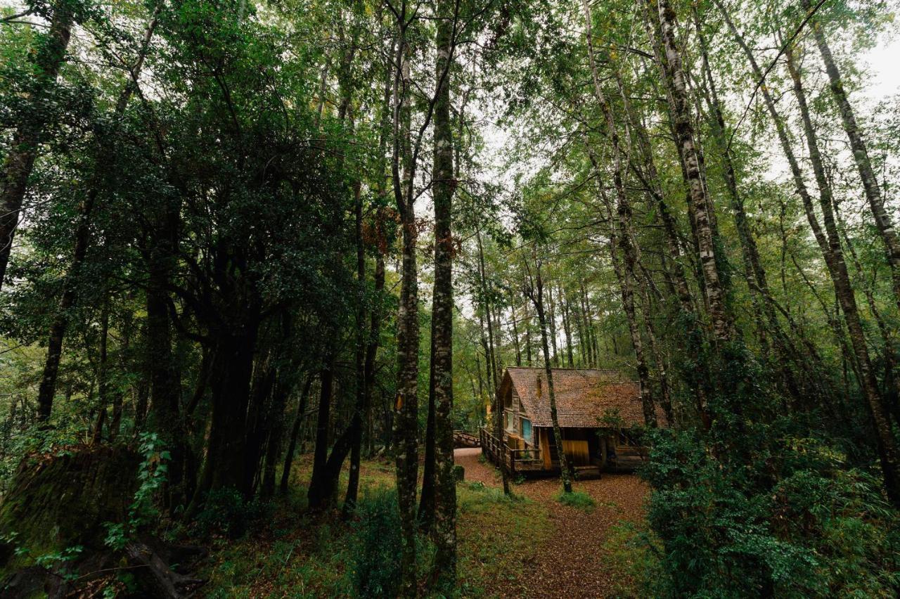 Huilo Huilo Cabanas Del Bosque Puerto Fuy Rom bilde