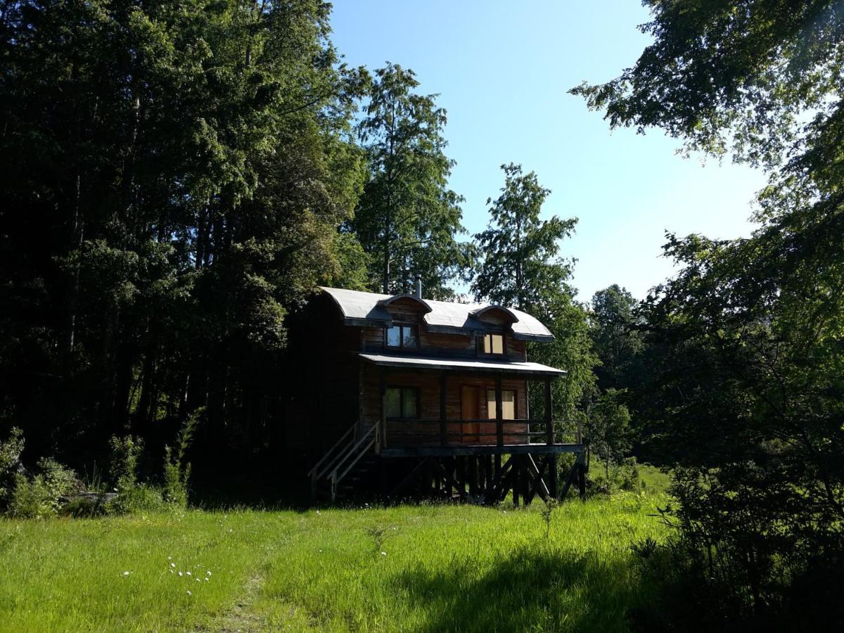 Huilo Huilo Cabanas Del Bosque Puerto Fuy Eksteriør bilde