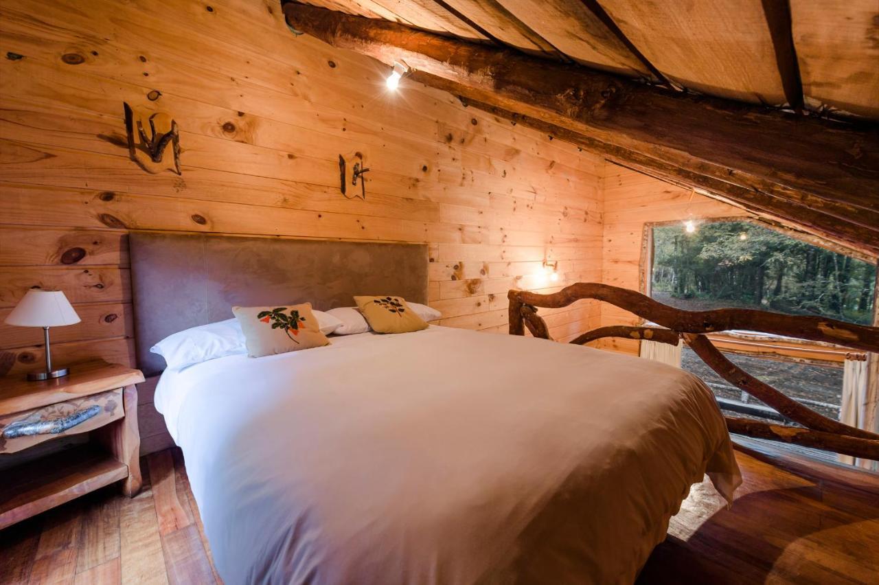 Huilo Huilo Cabanas Del Bosque Puerto Fuy Rom bilde